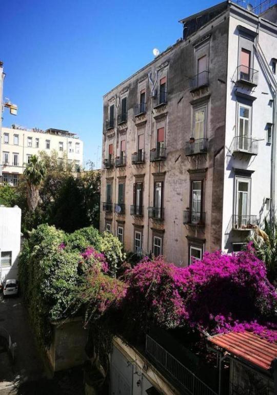 Domus Luigi Leone 2 Bed & Breakfast Napoli Dış mekan fotoğraf